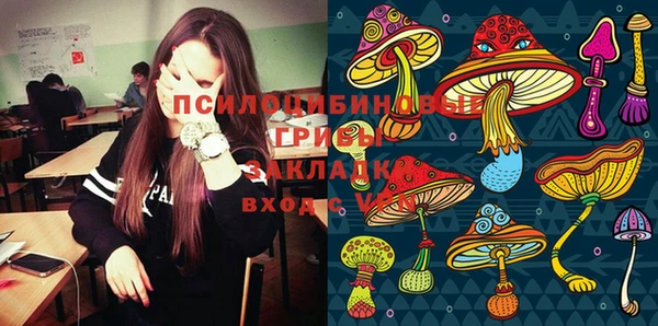 индика Переславль-Залесский