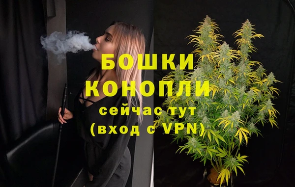 индика Переславль-Залесский