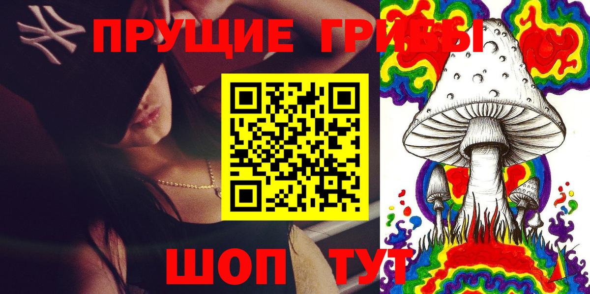Галлюциногенные грибы GOLDEN TEACHER Чернушка