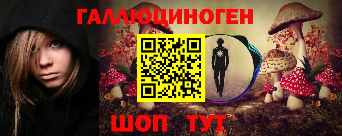 Чернушка  Галлюциногенные грибы ЛСД  Вход с VPN 